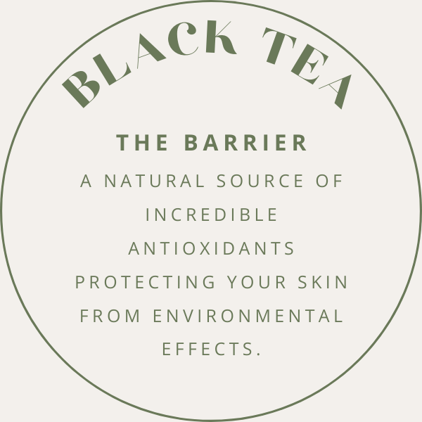 Antioxidant Gel Cleanser with Black Tea & Caffeine 120ML