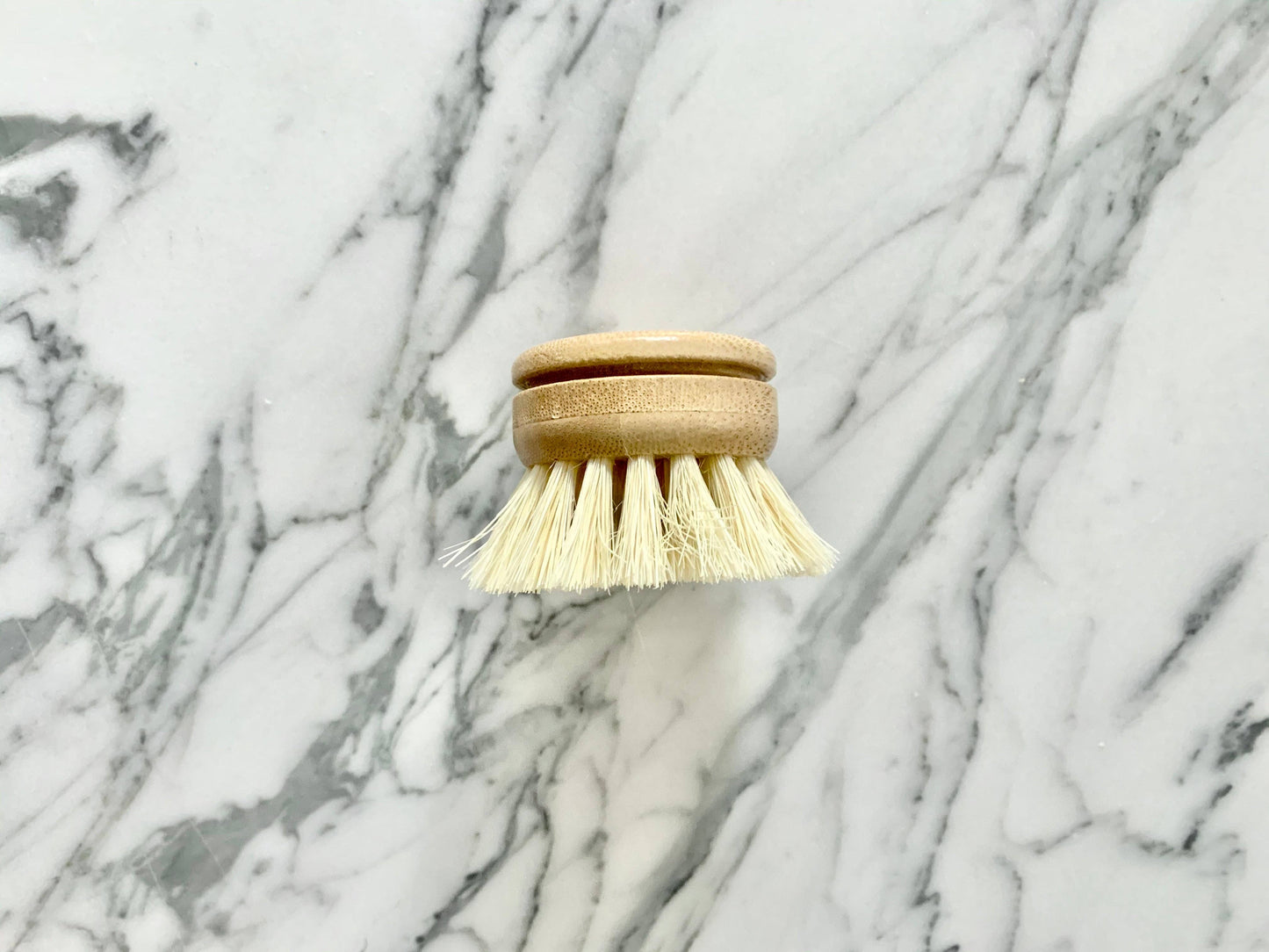 Essence of Life Organics - 100% Compostable Dish Brush Head replacement